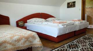 Гостевой дом Pension Ardelean Ваду-Изей Двухместный номер с 1 кроватью или 2 отдельными кроватями-4