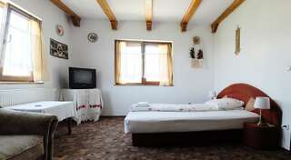 Гостевой дом Pension Ardelean Ваду-Изей Двухместный номер с 1 кроватью или 2 отдельными кроватями-5